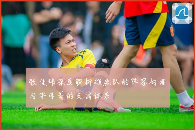 张佳玮深度解析雄鹿队的阵容构建与字母哥的支持体系