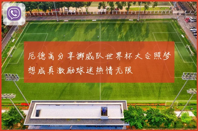厄德高分享挪威队世界杯大合照梦想成真激励球迷热情无限