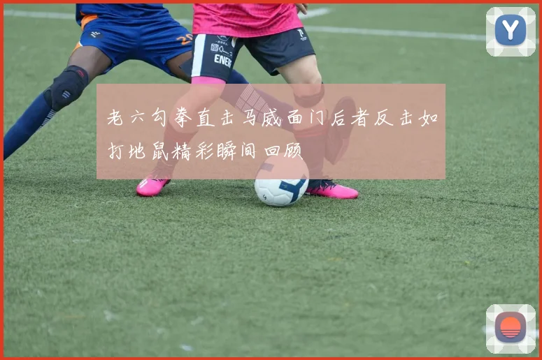 老六勾拳直击马威面门后者反击如打地鼠精彩瞬间回顾