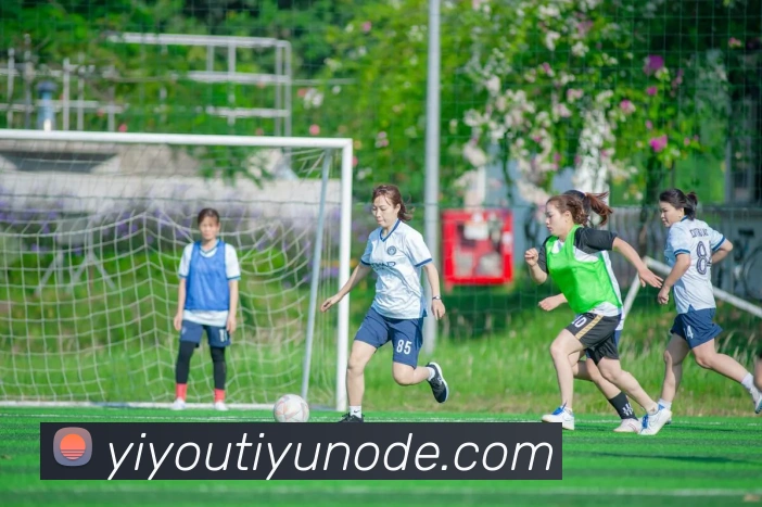 易游体育APP 高清赛事图